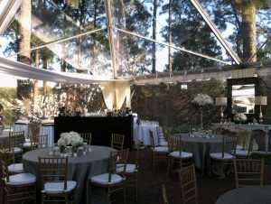 Party Rental Equipment in Raleigh, Wilson & Greenville, NC